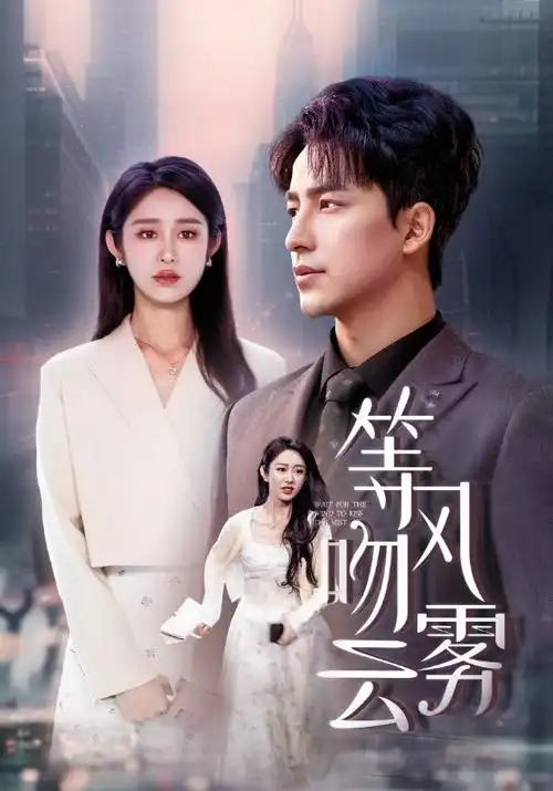 一可影视热播剧集长夜回声高清在线观看